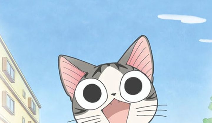 Chi's Sweet Home